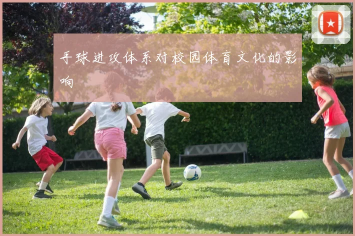 手球进攻体系对校园体育文化的影响