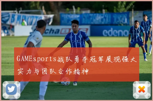 GAMEsports战队勇夺冠军展现强大实力与团队合作精神
