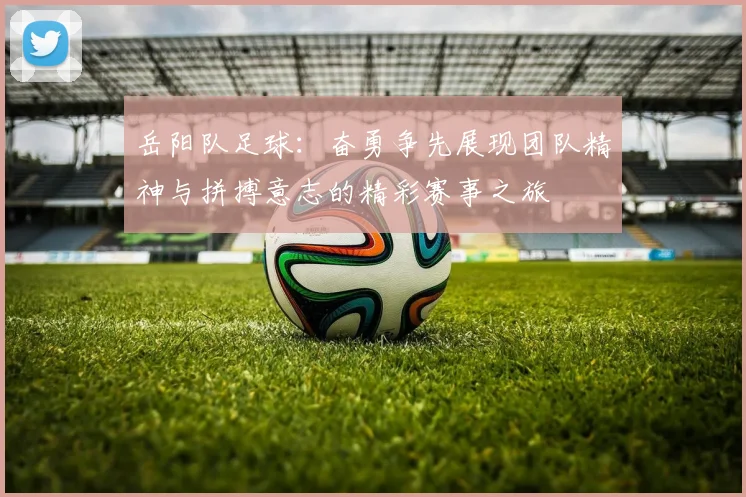 岳阳队足球：奋勇争先展现团队精神与拼搏意志的精彩赛事之旅