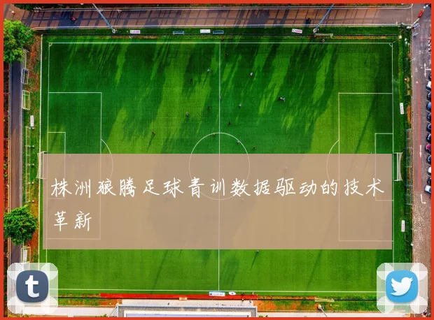 株洲狼腾足球青训数据驱动的技术革新