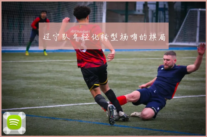 辽宁队年轻化转型杨鸣的棋局