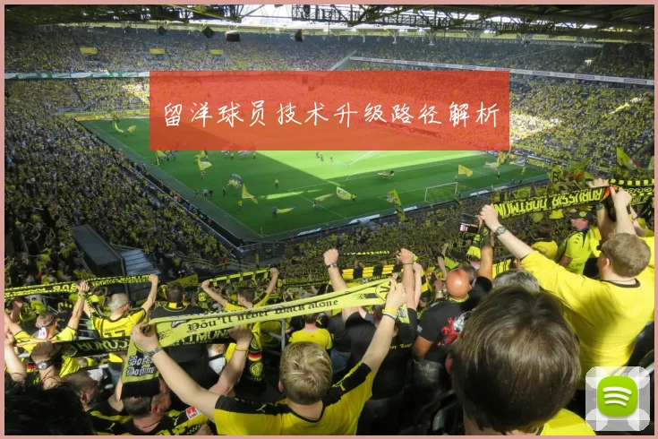 留洋球员技术升级路径解析