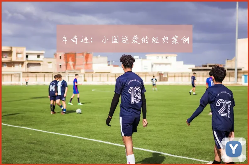 年奇迹：小国逆袭的经典案例