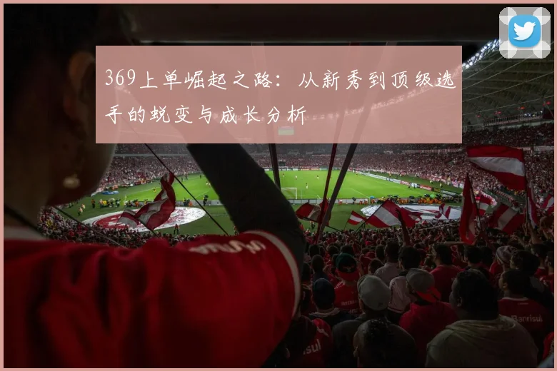 369上单崛起之路：从新秀到顶级选手的蜕变与成长分析